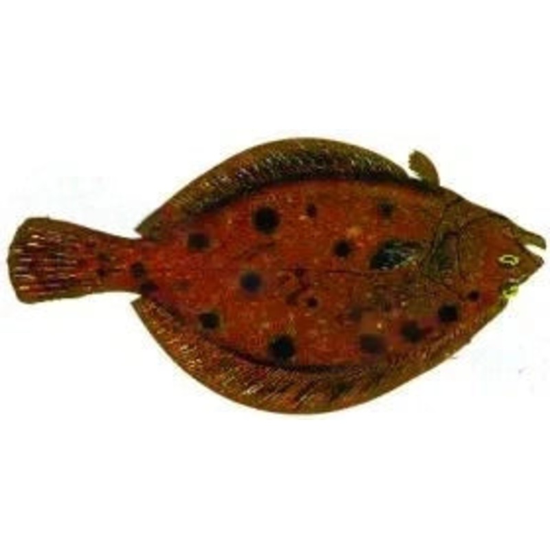 Bonefish
