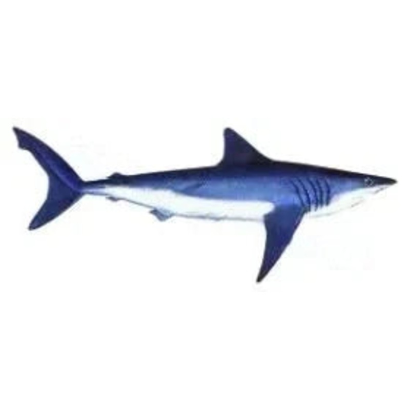 California Yellowtail