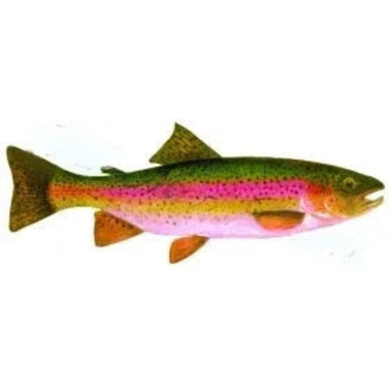 Largemouth Bass