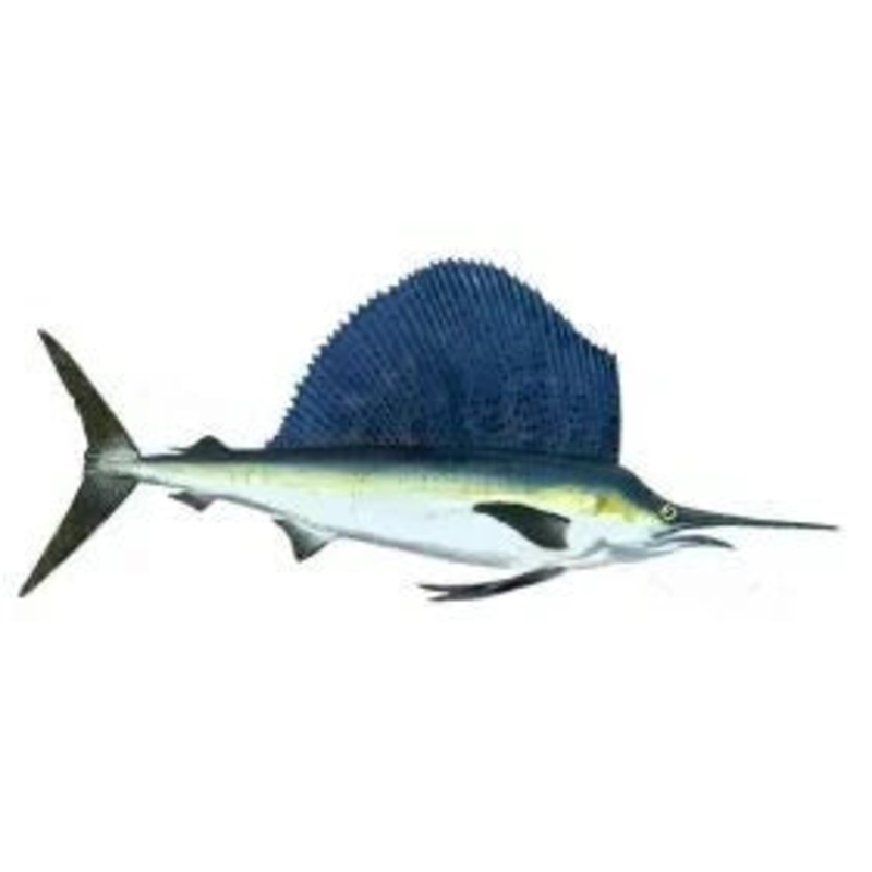 Red Snapper