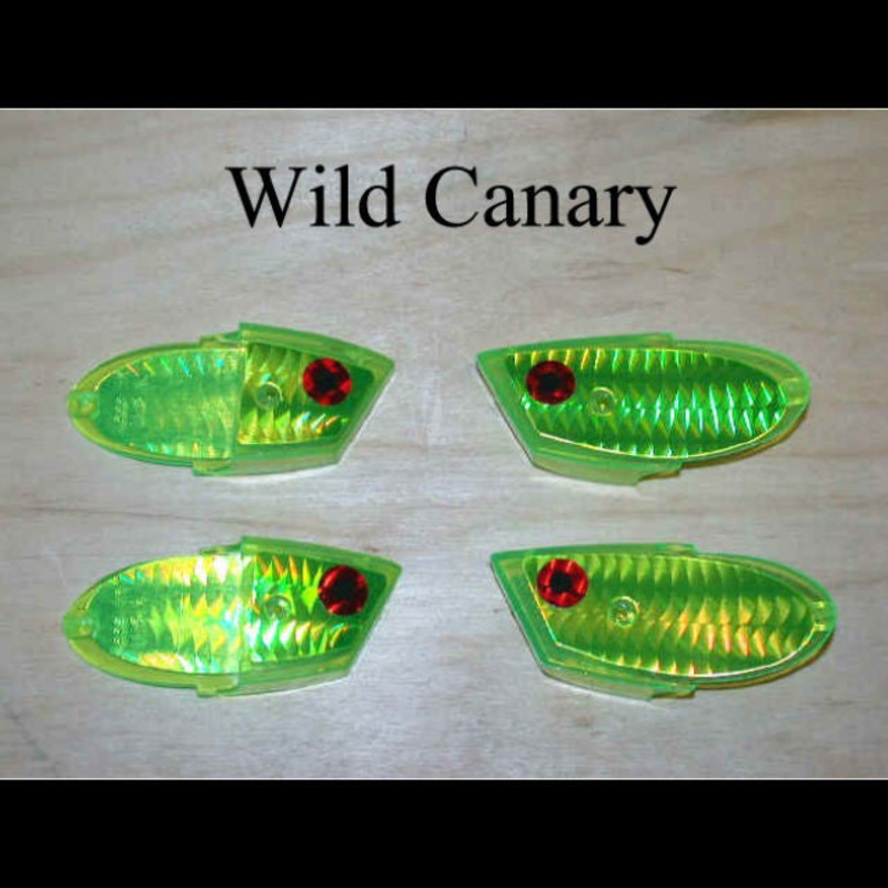 John King Magnum Meat Head WILD CANARY WILD CANARY