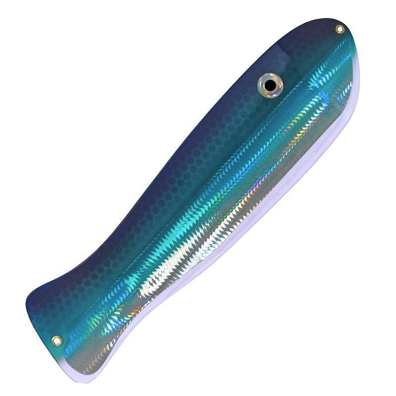 Kingfisher II - Jellyfish Blue Angel Jellyfish Blue Angel 12"