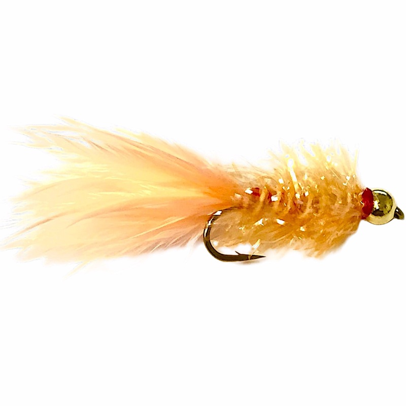 Golden Retriever Peach