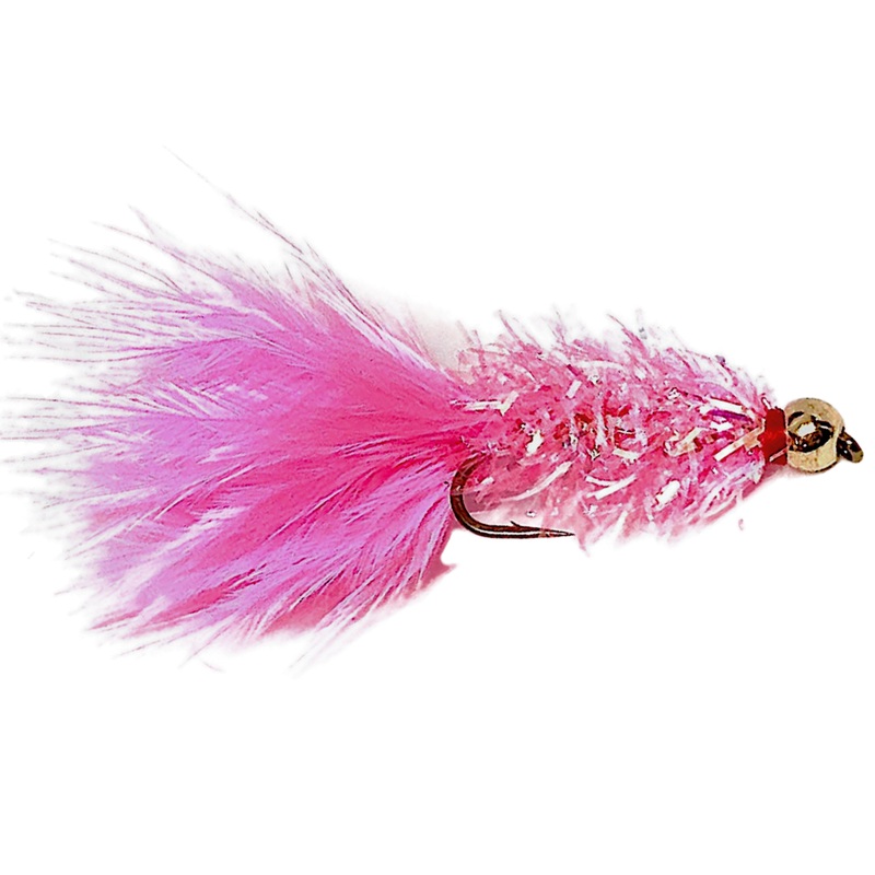 Golden Retriever Pink
