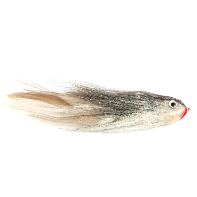 Joe's Flathead Shad