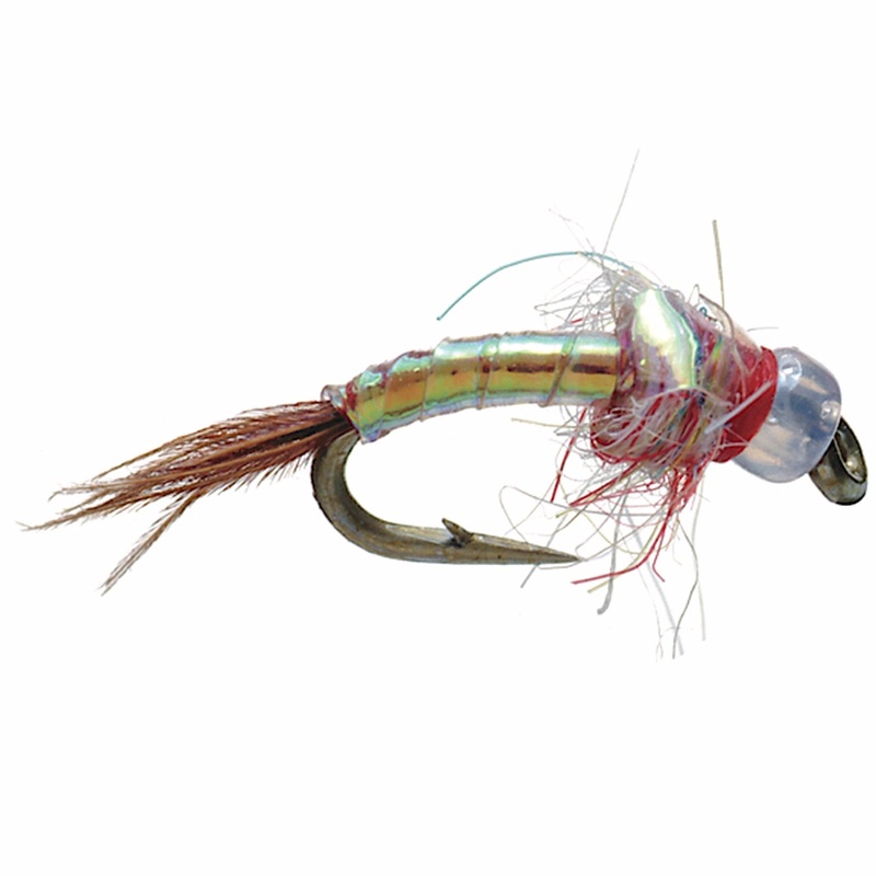 Rainbow Warrior Pearl 16