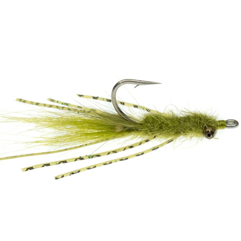 Ververka's Mantis Shrimp Olive 8