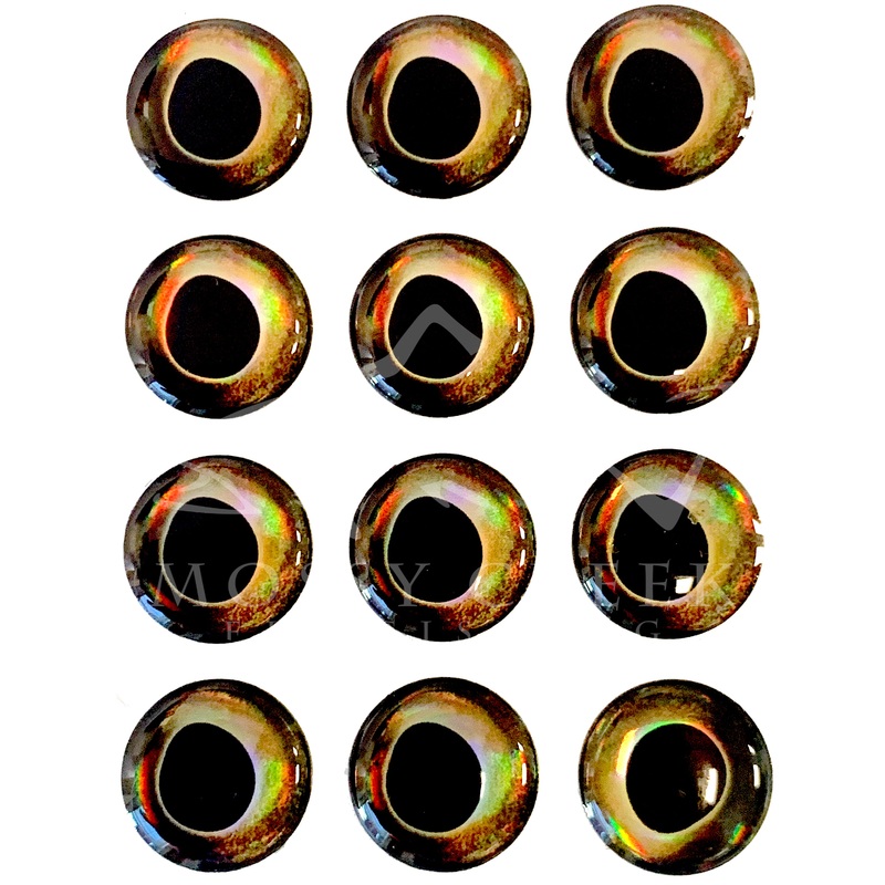 Fish Skull Living Eyes Earth 3mm