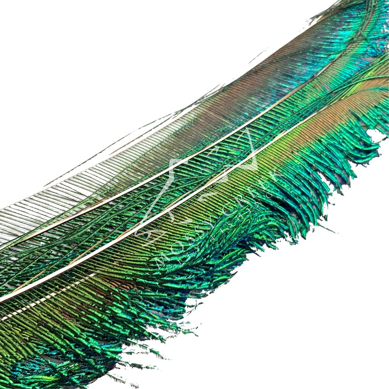 Peacock Swords