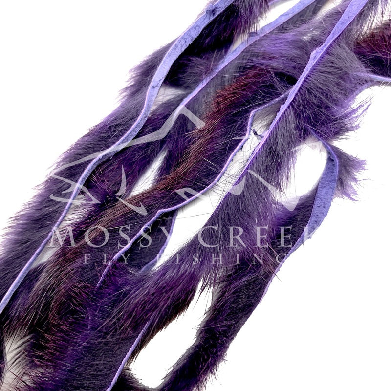 Pine Squirrel Zonkers Purple