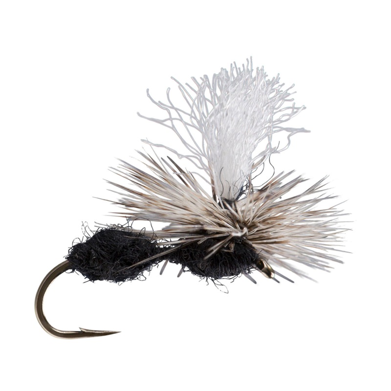 Parachute Ant Black 14