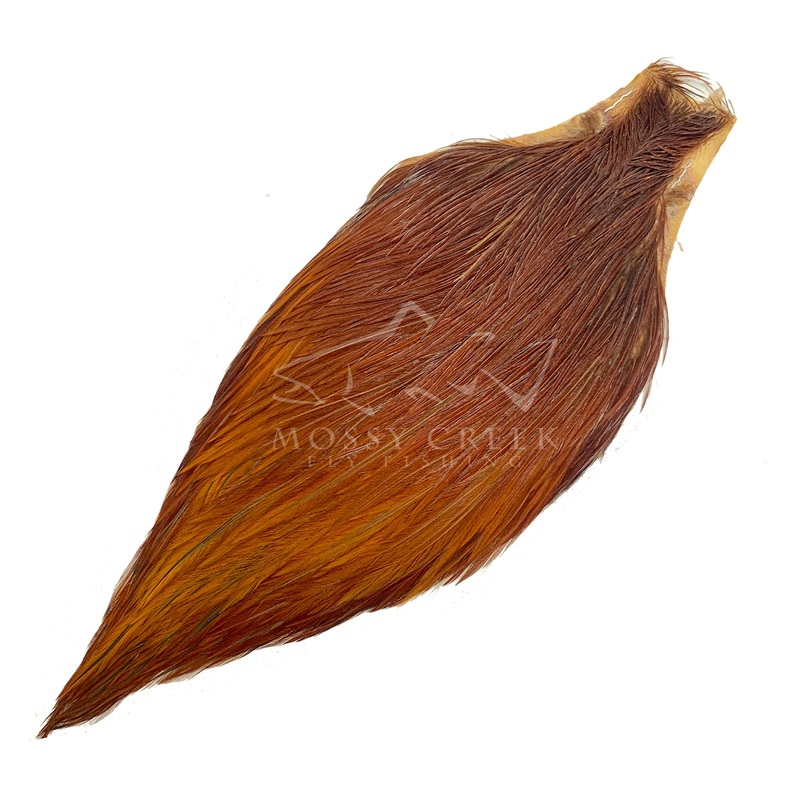 Keough Tyer's Grade Cape Brown