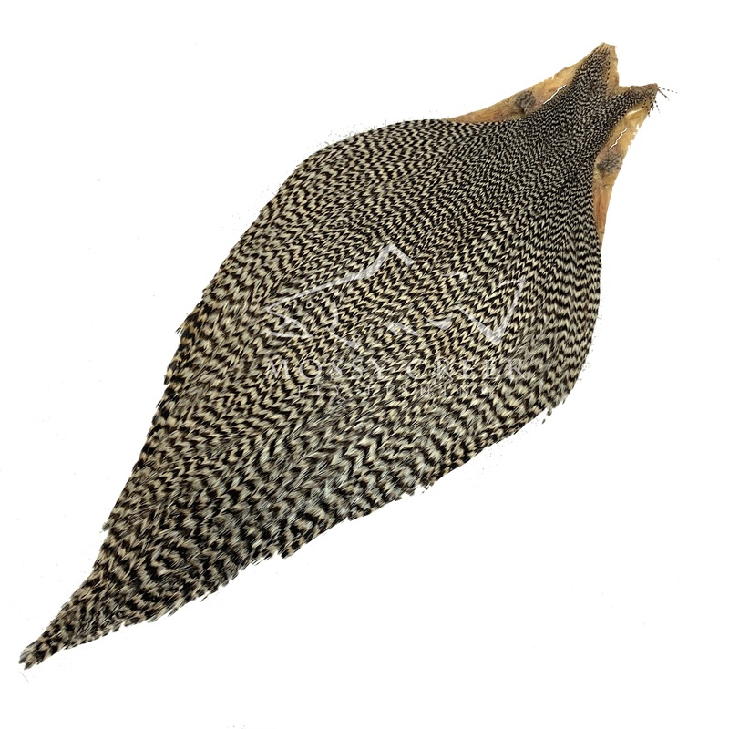 Keough Tyer's Grade Cape Grizzly