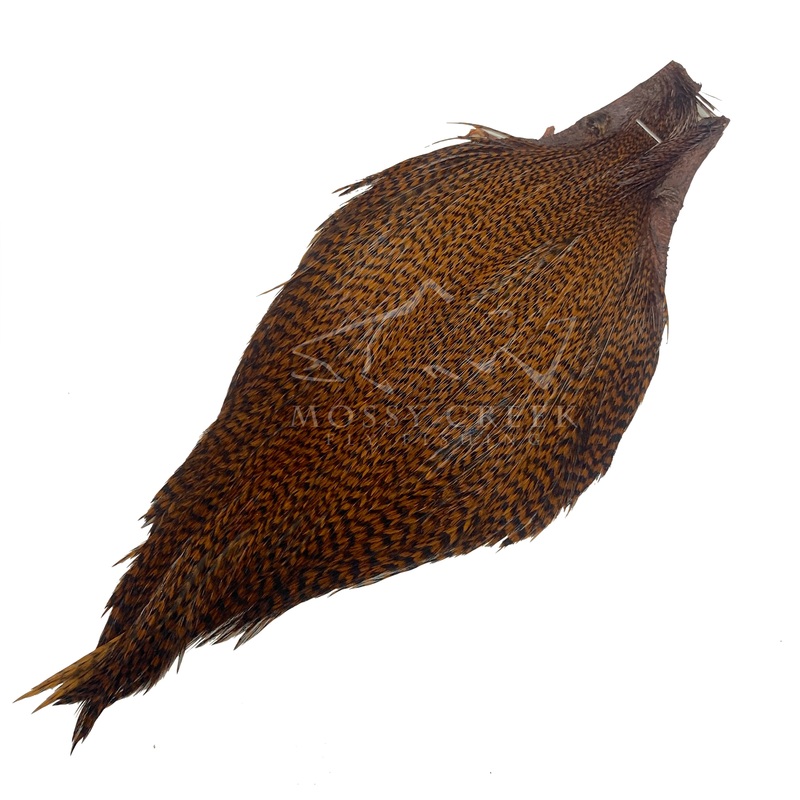 Keough Tyer's Grade Cape Grizzly Brown