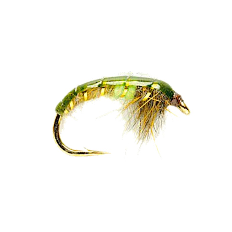 Czech Mate Green Peacock 12