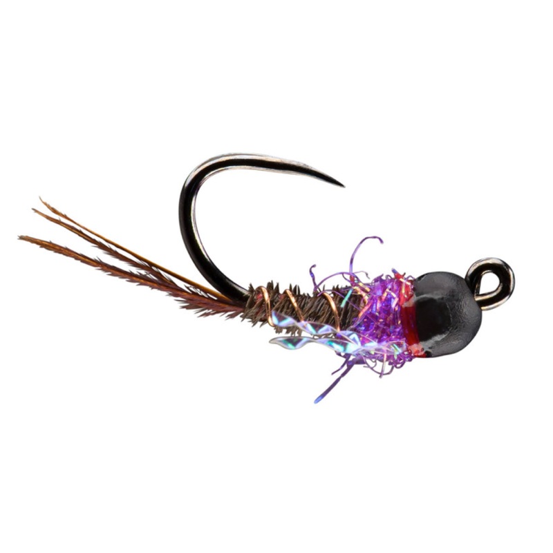 French Dip Purple 12