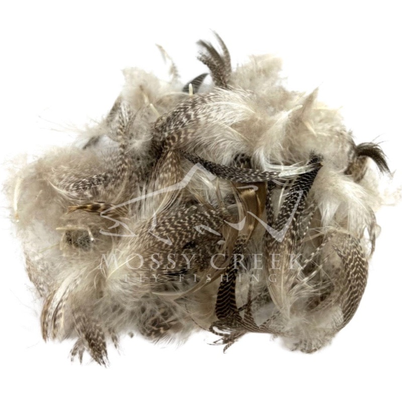 Gadwall Feathers