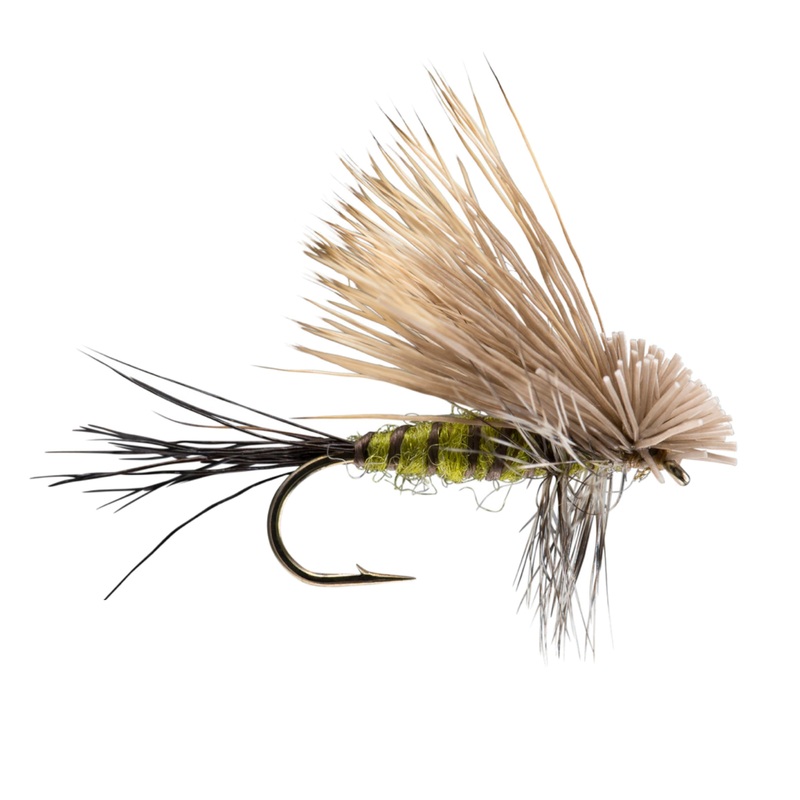 Hairwing Green Drake