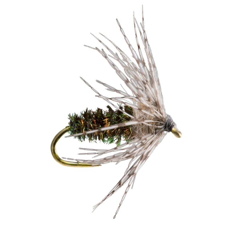 Partridge Soft Hackle Peacock 12