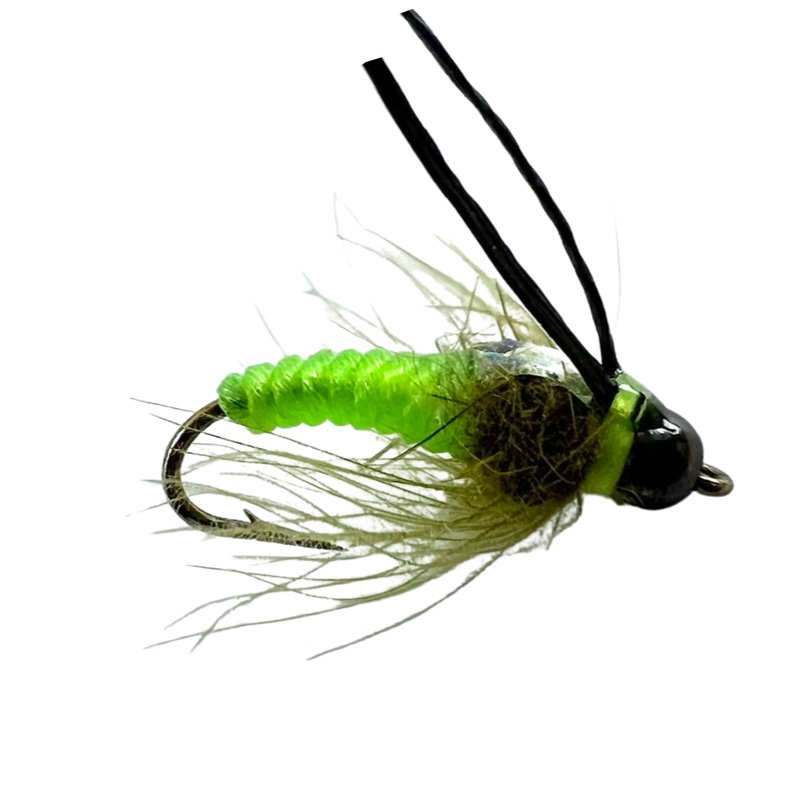 Twisted Caddis Green 16