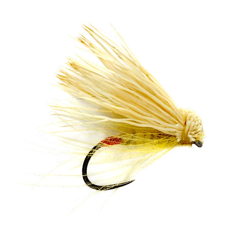 Yellow Sally CDC and Elk 12