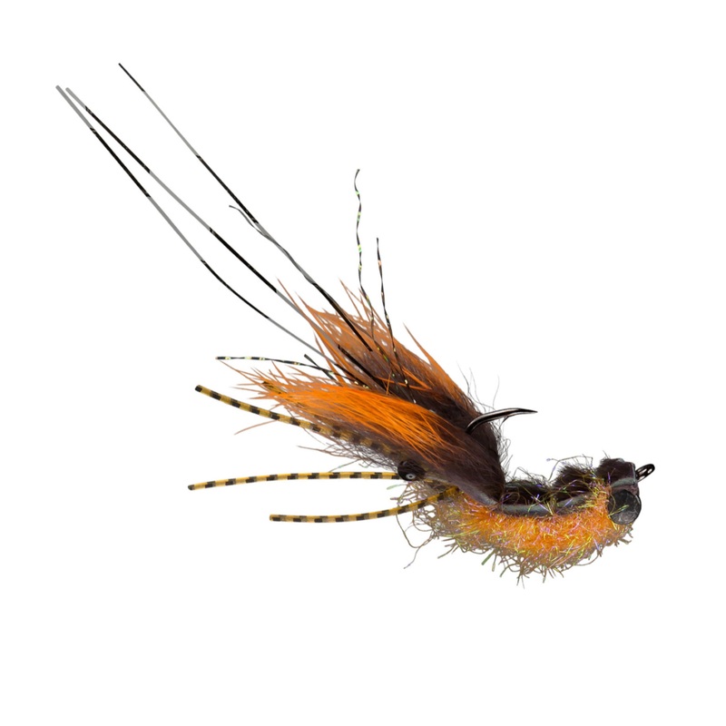 Cray Cray Black Orange