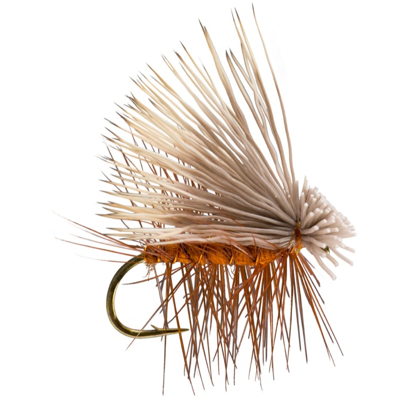 Elk Hair Caddis Orange 12