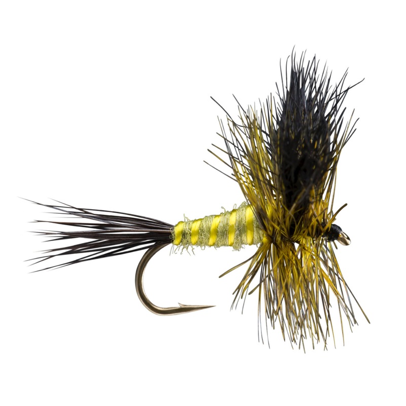 Green Drake Wulff
