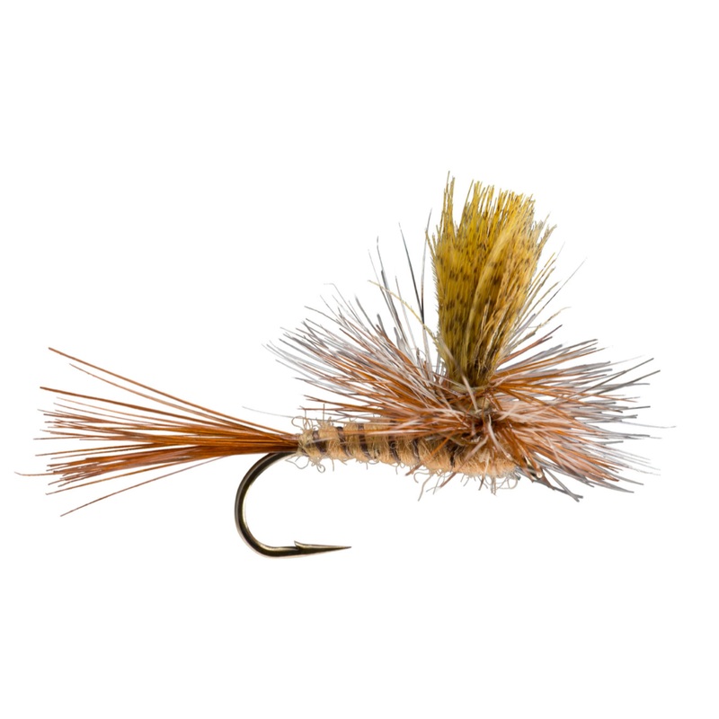 Parachute Brown 12