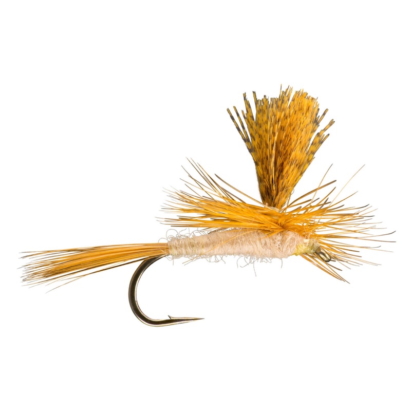 Parachute Cahill Cream 12