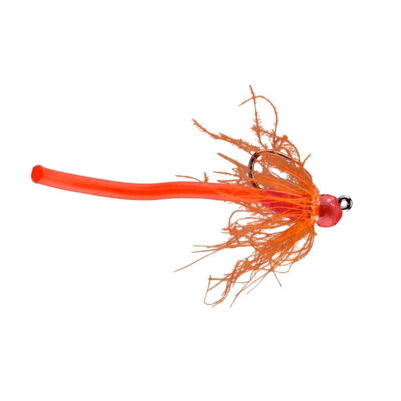 Worm Farm Red