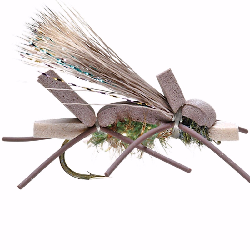 Amy's Ant Olive 8