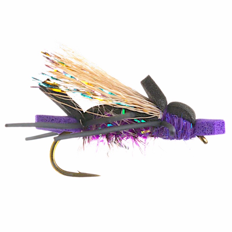 Amy's Ant Purple 8