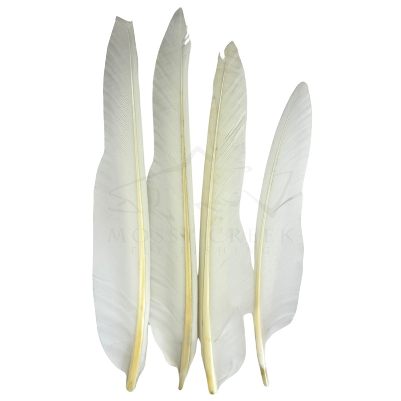 Duck Quills (2 matched pair) White