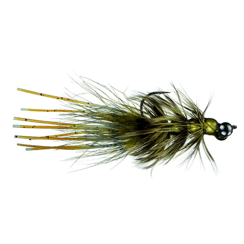 Mardi Craw Olive