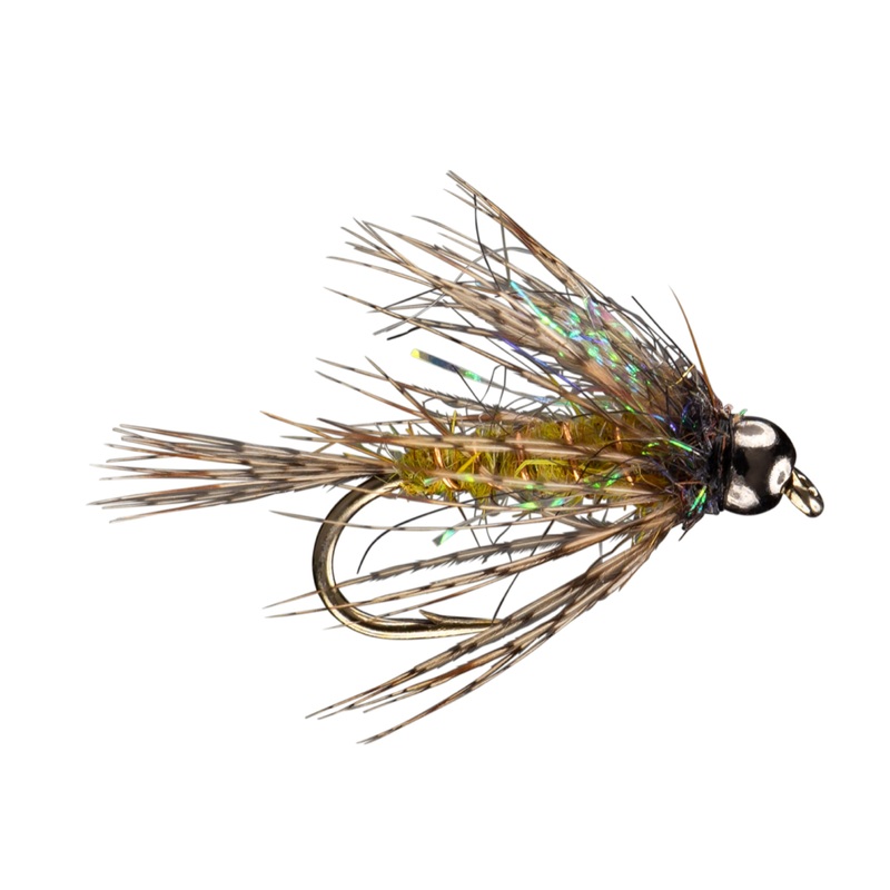 Morrish Dirty Bird Olive 10