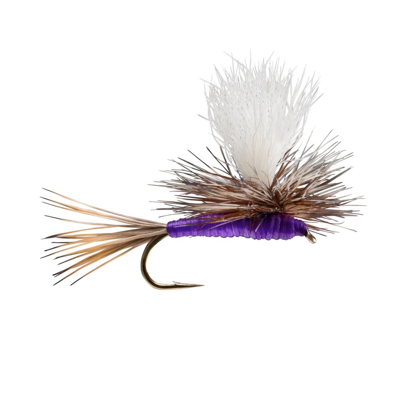 Parachute Purple 12