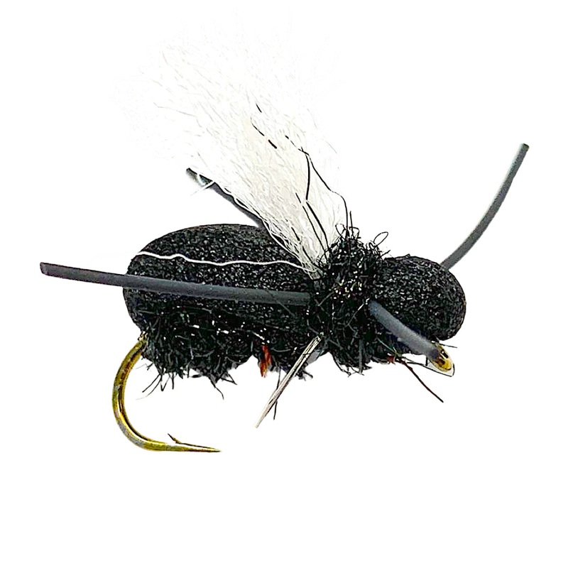 Point Guard Beetle