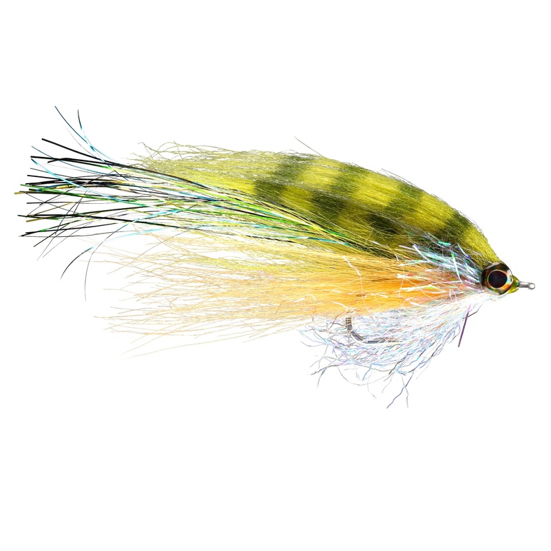 Rio's Flashdance Rainbow