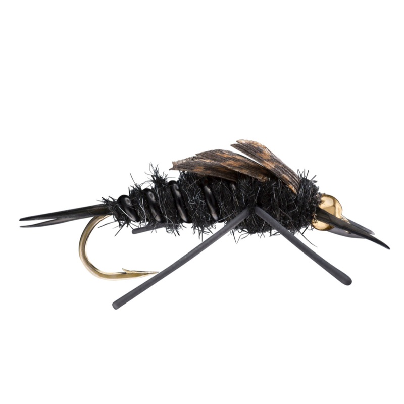 Rubber Legs Beadhead Stonefly Black 6