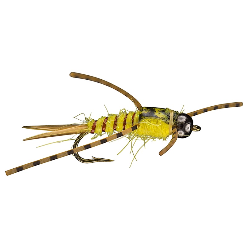 Yellow Sally Nymph 14