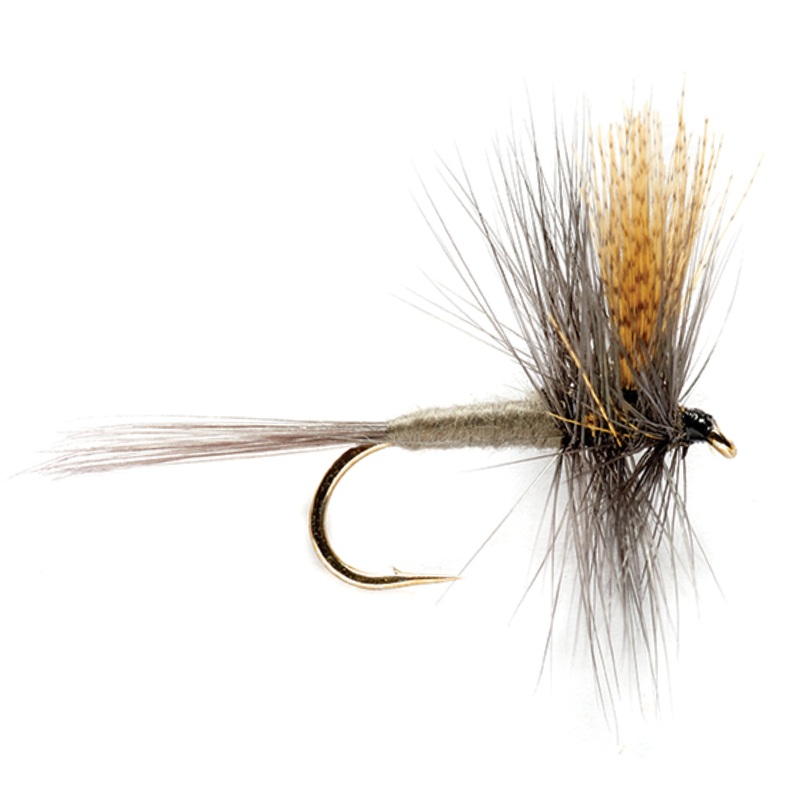 Dark Hendrickson 12