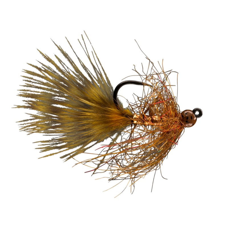 Gold Jigger Brown