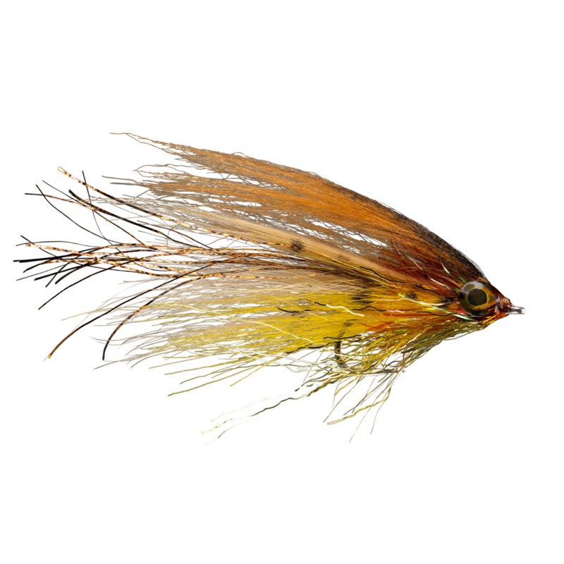 Rio's Flashdance Brown