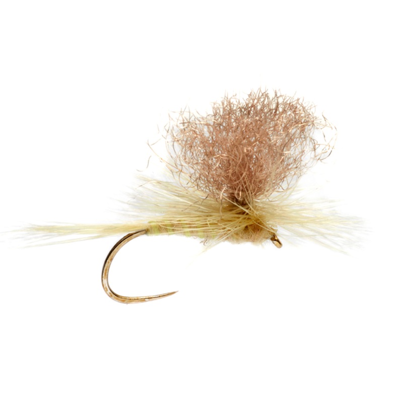 Tactical Light Cahill Parachute 12