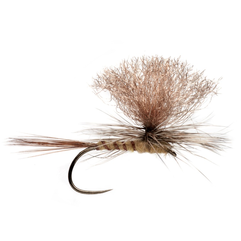 Tactical Light Hendrickson Parachute 12