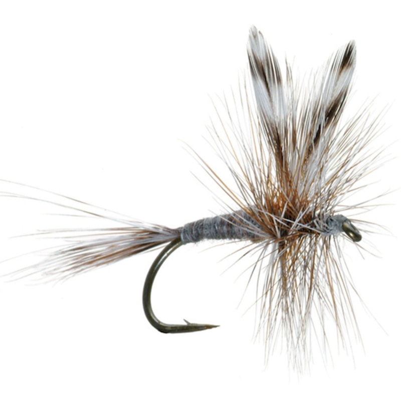 Adams Dry Fly 10