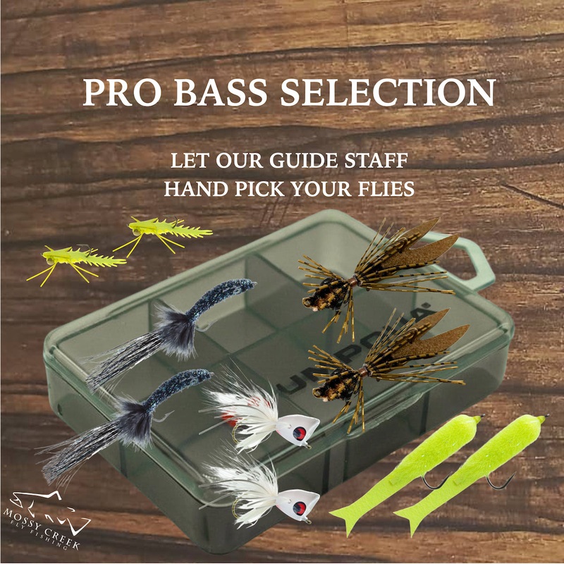 Bass Fly Selection Regular(12 Flies And Box For $65) Seasonal(Flies Currently In Season)