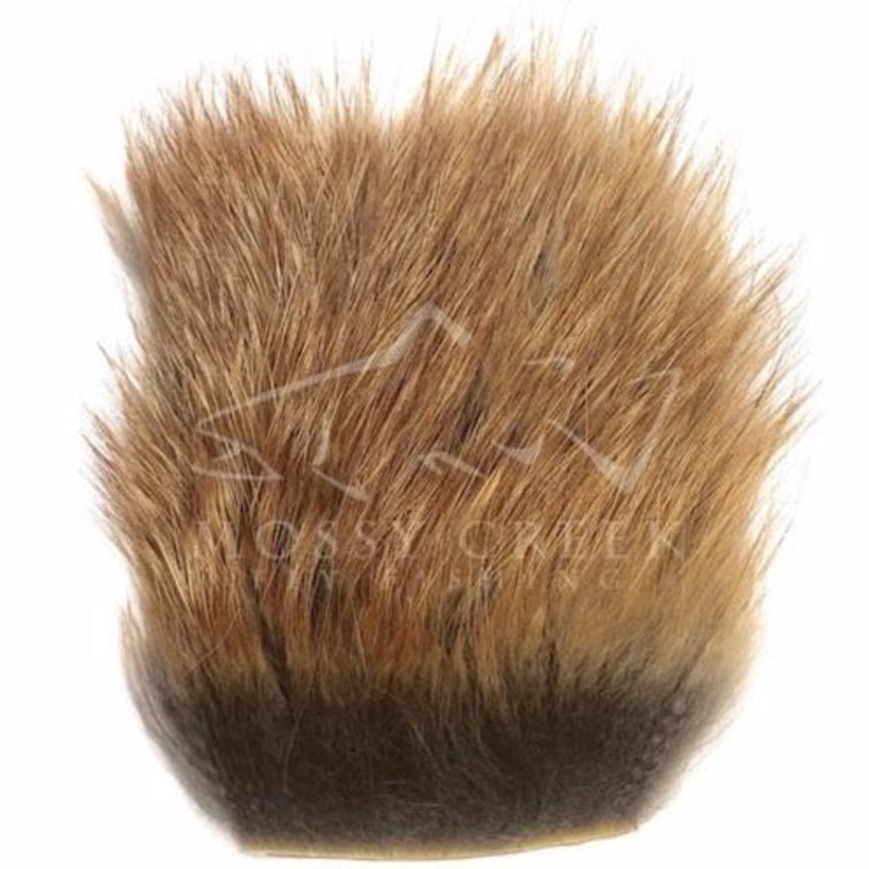 Fox Red Fox