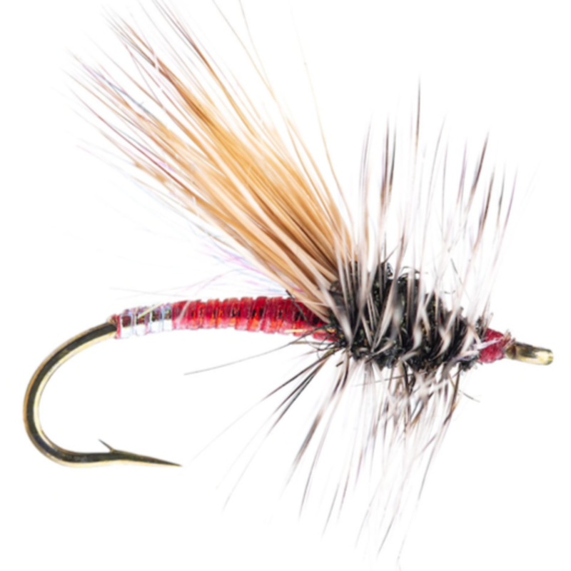 Mini Hot Garcia Red 16